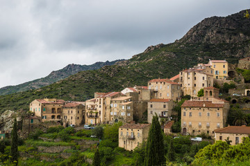 Fototapeta na wymiar Lama, Corse