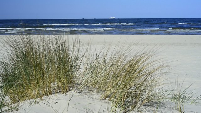 Ostseestrand mit Strandhafer