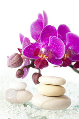 Obraz na płótnie Canvas Spa stones and pink orchid