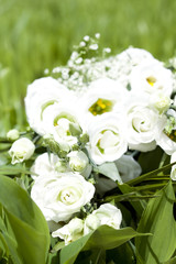 Bouquet of white roses