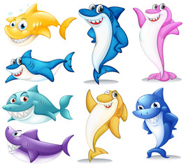 A group of colorful sharks