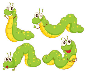 Obraz premium Four green caterpillars