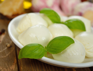 mozzarella cheese