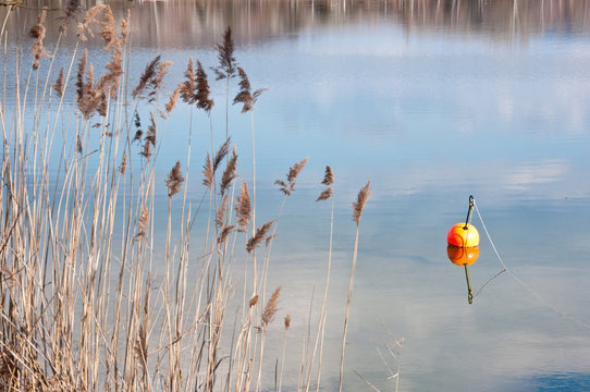 orange buoy on the shore of a lake