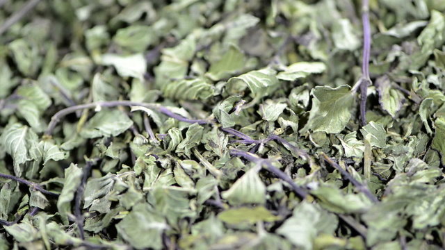 Dried Mint (loopable video)