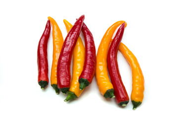 Chilli Schoten