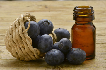 Vaccinium Airelle Вакциниум Borówka Heidelbeeren
