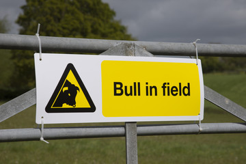 Bull in field warning sign attached to farm gate England UK
