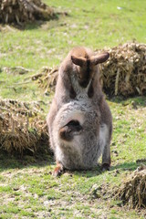 b&eacute;b&eacute; rentre