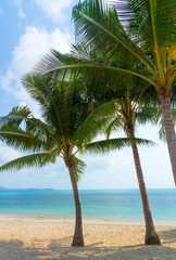 Untouched tropical beach