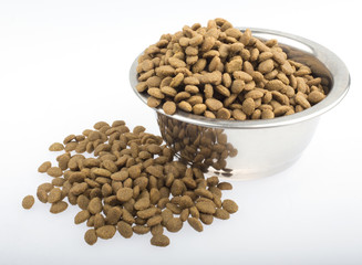 Cat food in a bowl