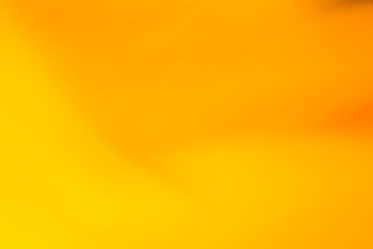Warm colors, background, yellow, orange