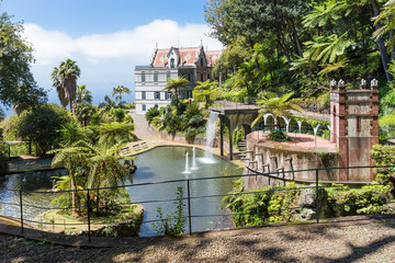 Tropical garden at Funchal,  Madeira island, Portugal - obrazy, fototapety, plakaty