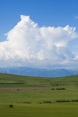 Fototapeta na wymiar Green meadow and blue sky