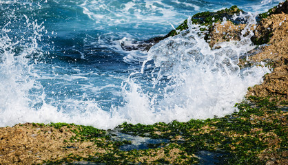 a surf on coral reefs