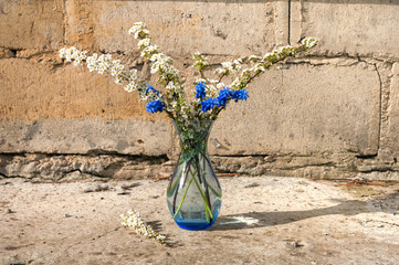 hyacinth and deutzia still life bouquet