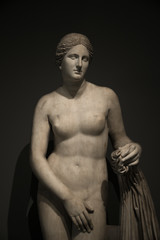 Fototapeta premium Statue of nacked Venus at black background , Rome, Italy