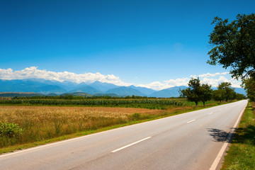 Fototapety na wymiar - Fototapeta24.pl