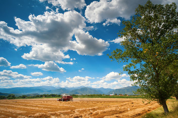 Fototapety na wymiar - Fototapeta24.pl