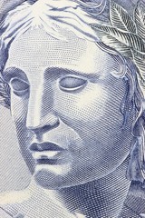 Porträt auf der brasilianischen 2 Reais Banknote