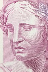 Porträt auf der brasilianischen 5 Reais Banknote