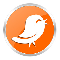 twitter orange glossy icon