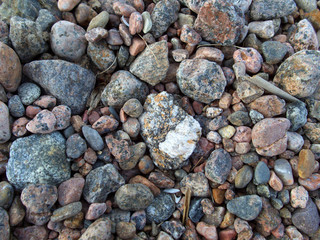 sea ​​stones