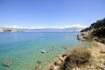 Obraz premium Transparent beauty