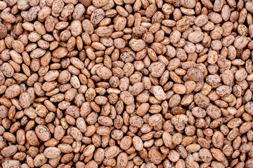 Pinto beans background