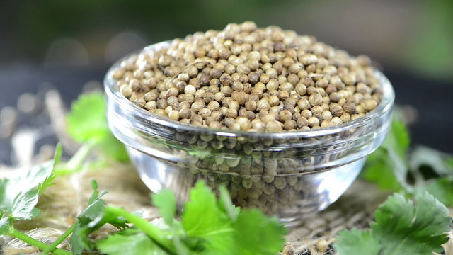 Coriander Seeds (loopable video)