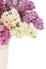 Lilacs