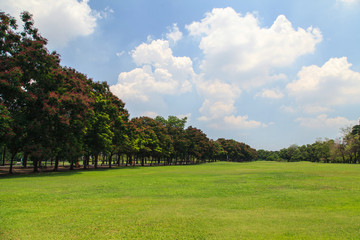 Park