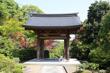 Obraz premium Traditional Japanese Architecture