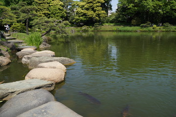 清澄庭園と磯渡り