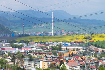 Colorful fields near a factory