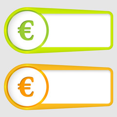 set of two boxes for entering text with euro sign