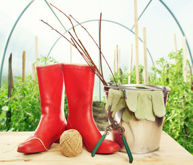 Garden tools with seedlings and rubber boots in the hothouse