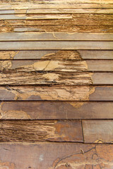 Background texture wall wood termites, which are disintegrated