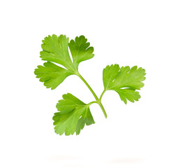 Parsley isolated on white background