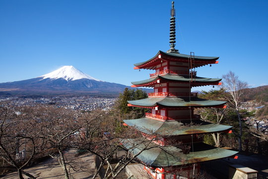 Mountain Fuji in spring season , view from chureito pagoda