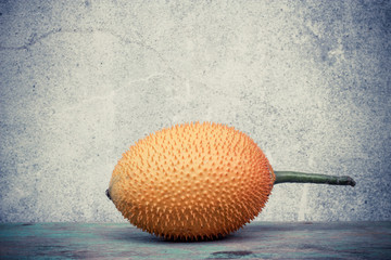 Spring Bitter Cucumber ( Momordica cochinchinensis Spreng.)