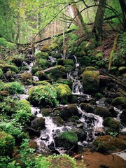 Wodospad © Tomasz Niewęgłowski