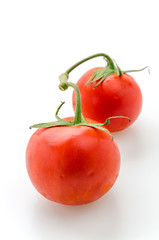 Tomato isolated on white