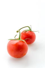 Tomato isolated on white