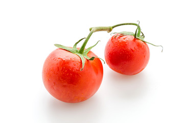 Tomato isolated on white