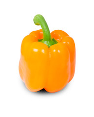 Pepper