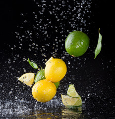 Citrus fruit in water splash on black background