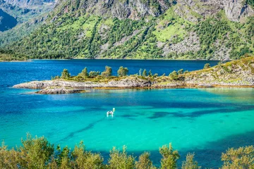 Fototapeten Schöne Landschaft von Norwegen, Skandinavien © Lukasz Janyst