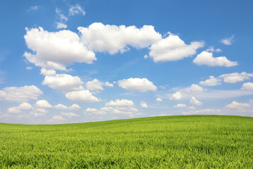 Green field with blue sky cloud