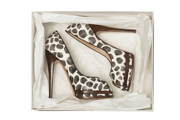 animal print high heel shoes in box